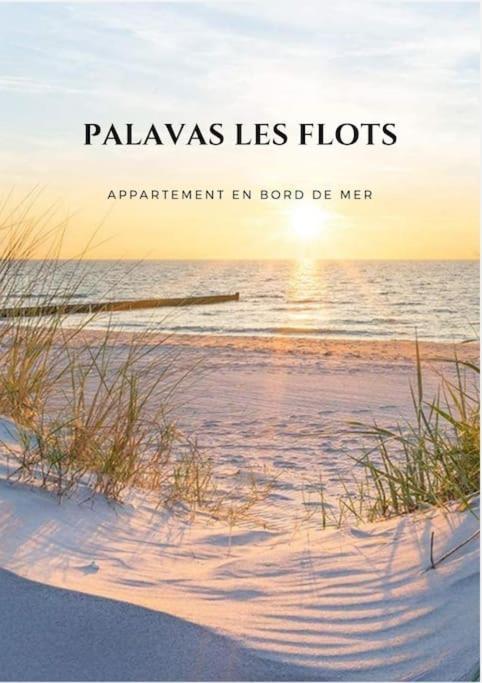 Appartement Palavas Les Flots T2 + Parking Prive Extérieur photo